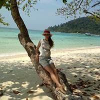 Отзыв от Алиса - DTV виза